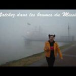 Les brumes du Mississipi